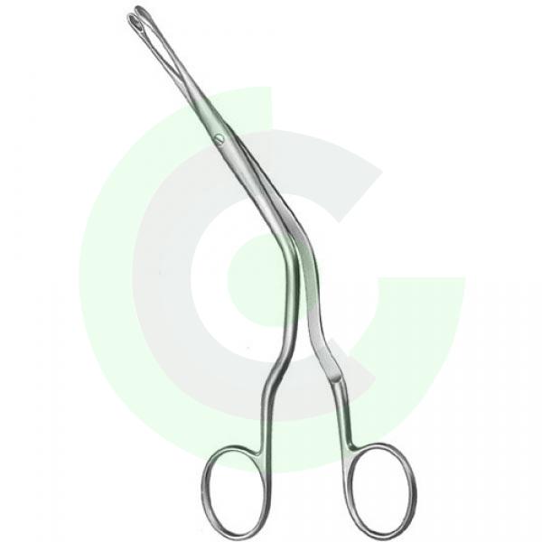 Rhinology