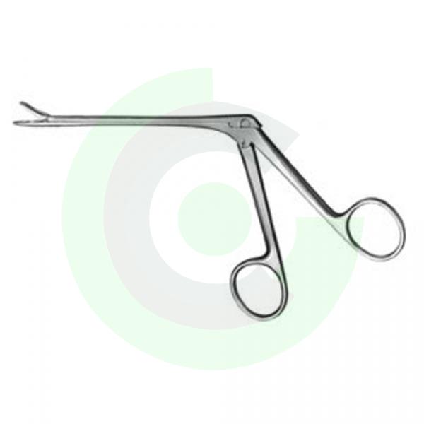 Rhinology