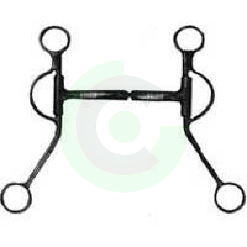 Equestrian Equipment